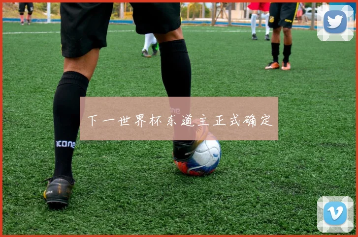 下一世界杯东道主正式确定