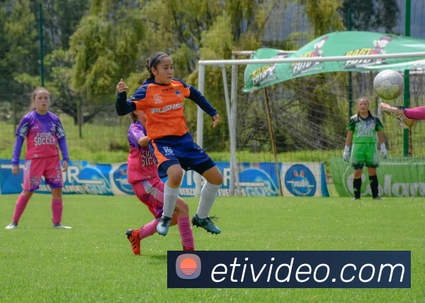 世界杯开户平台APP 封面图