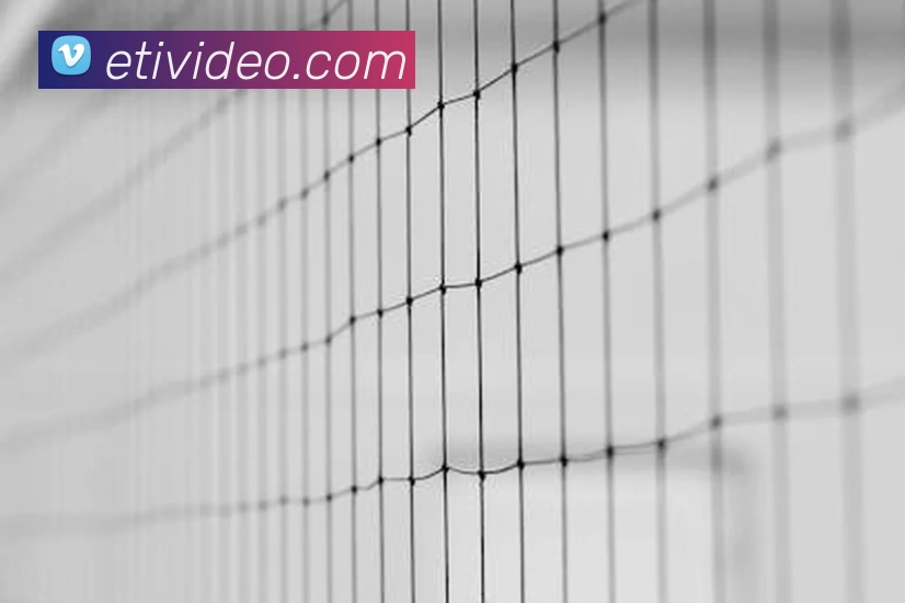 数据防护可视化